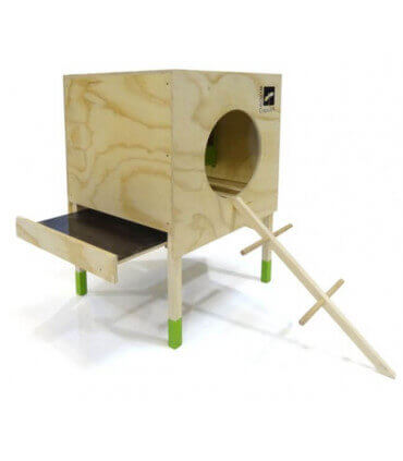 petit poulailler design pour 2 poules