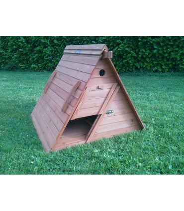 petit poulailler 4 poules pondeuses ou d'ornement