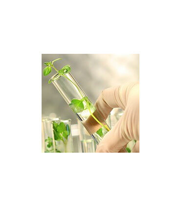 COXICURE, solution prévention naturelle contre les coxidoses de la volaille