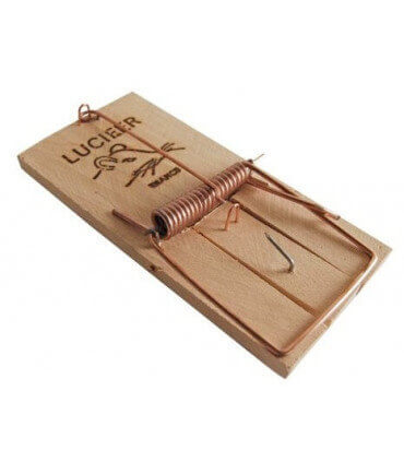 lot de 2 tapettes pour piéger les souris