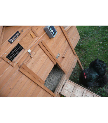 Poulailler bois Design Bungal'o motorisable avec AXT ou ChickenGuard. Mobile, toiture bitume. sur pilotis. Toit ouvrant.