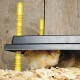 Plaque chauffante poussins