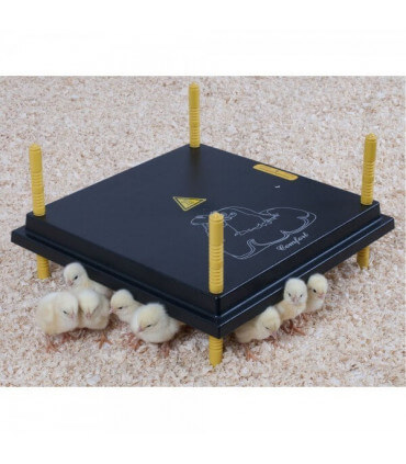 Plaque chauffante poussins