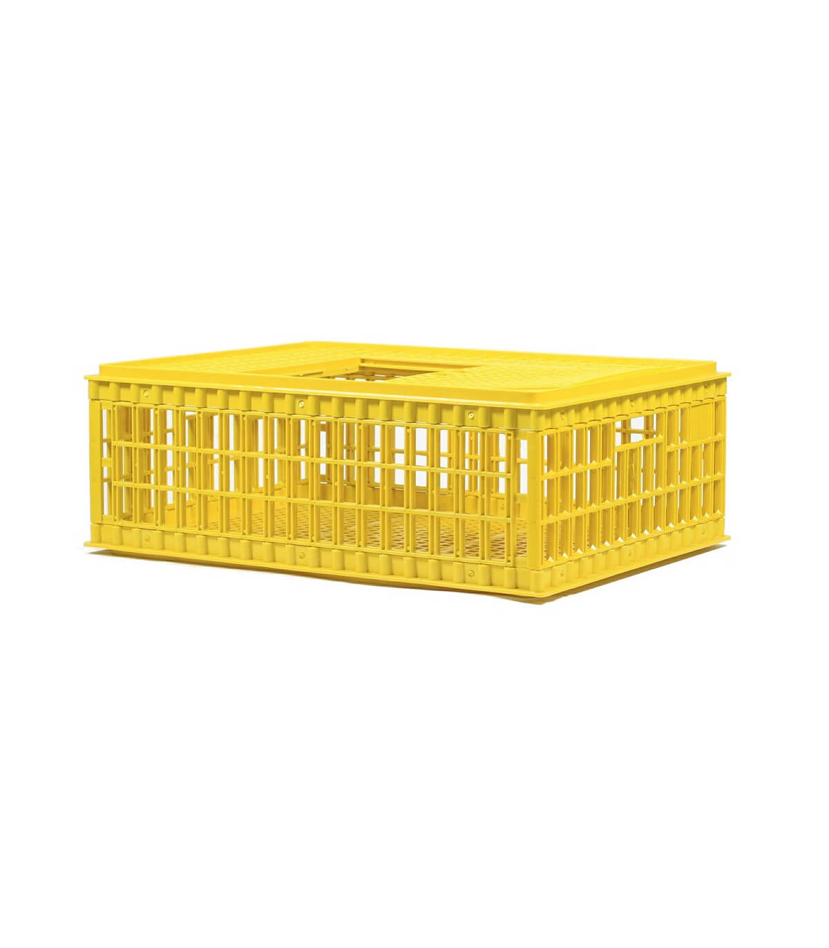 Caisse de transport en plastique grande • Poules, canards et faisans