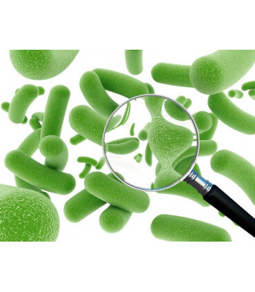 PROBIOCOT, probiotiques pour soigner les poules malades et problemes digestifs