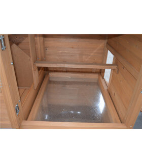 Poulailler Design Hilary 4 poules,  aménagement intérieur pondoir 2 nids et perchoir ergonomique.