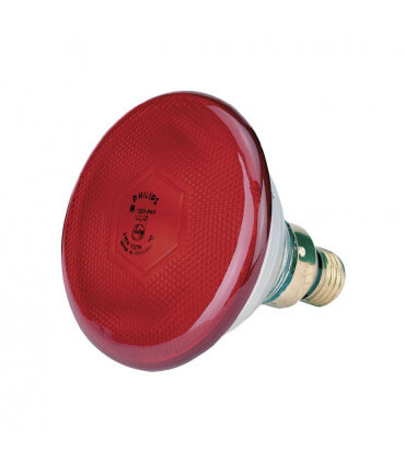 Ampoule infrarouges Philips 150 W pour lampes chauffantes des poussins et les poussinières.