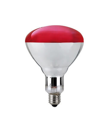Ampoule chauffante infrarouges Philips 150W pour lampes chauffantes des poussins et les poussinières.