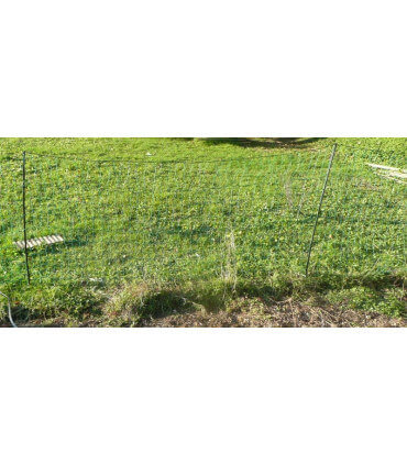 Filet pret à poser, pour réaliser des parcs mobiles à poules pondeuses et d'ornement.