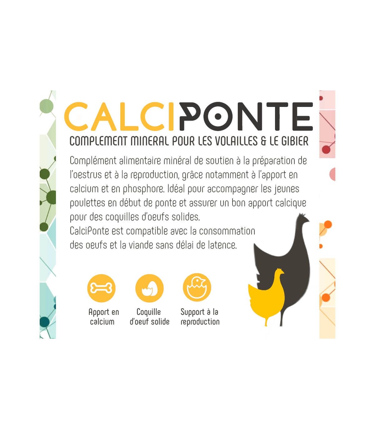 CalciPonte apport en calcium pour des coquilles d'oeufs solides