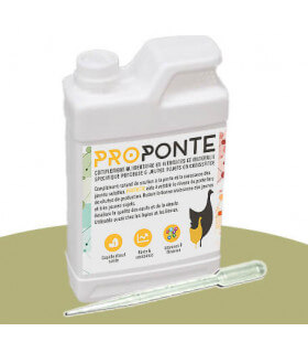 Proponte est un complément naturel spécifique aux volailles des poules pour soutenir un niveau de ponte de qualité.