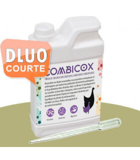 combicox pour soigner et soulager naturellement les problèmes intestinaux des poules pondeuses dues au parasitisme.