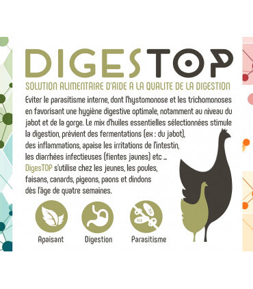 DigesTop, soin digestif naturel pour éviter les diarrhées des poules et troubles intestinaux.