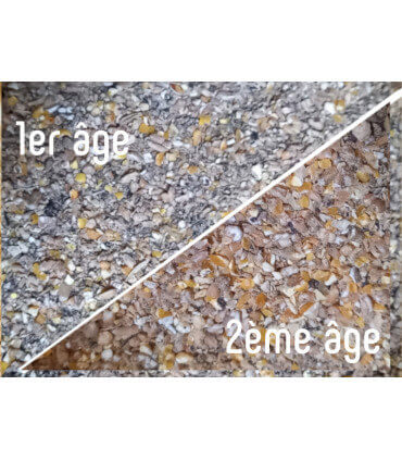 Aliment poussin en miette premier age et lot avec aliment en semoule 2eme age pour les bébés volailles.