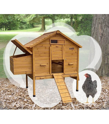 Poulailler design sur Pilotis, version originale, pour 6/8 poules. Porte motorisable, pondoir 2 nids. Mobile et décoratif.