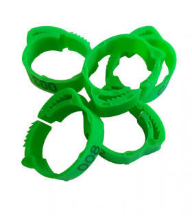 bagues réglables pour marquer les poules pondeuses et d'ornement