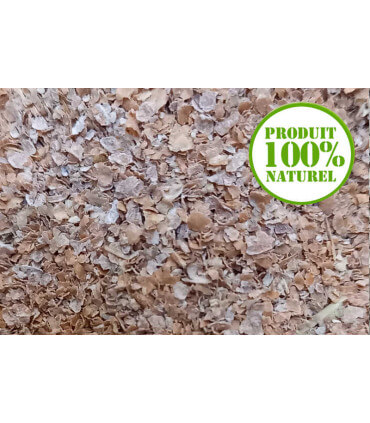 son de blé complément alimentaires des poules pondeuses et d'ornement.