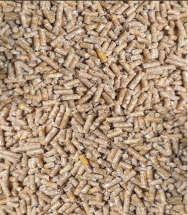 Aliment complet en mini granulés de démarrage canetons et oisons 1er age. Nourriture équilibrée pour la croissance des poussins.