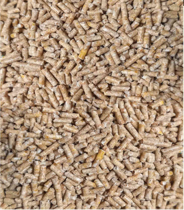 Aliment complet en mini granulés de démarrage canetons et oisons 1er age. Nourriture équilibrée pour la croissance des poussins.