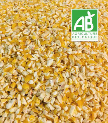 Maïs concassé bio. Alimentation des poules pondeuses et des poulets de chair.