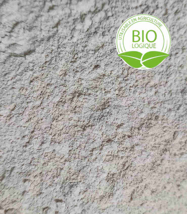 lithothamne en poudre complément alimentaire des poules pondeuses, utilisé en agriculture bio.