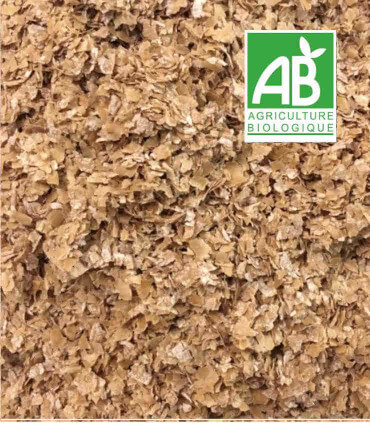 Son de blé bio pour les patées des poules pondeuses, un beau plumage et une bonne ponte.