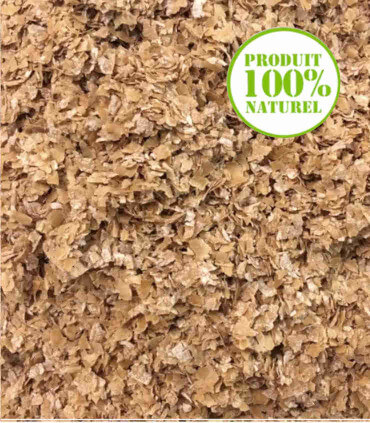 Son de blé bio pour les patées des poules pondeuses, un beau plumage et une bonne ponte.