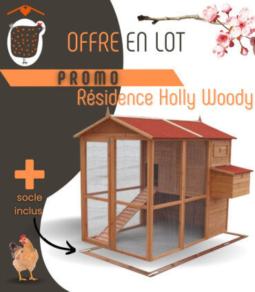 Grand poulailler bois Holly Woody avec socle d'installation pour stabiliser la construction, en bois traité classe 3.