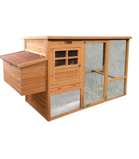 Poulailler Design bois Hilary pour 4 poules, volière couverte  2 portes motorisables ! +1 perchoir dans l'enclos