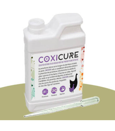 Lutte contre le parasitisme interne chez les poules pondeuses, solution naturelle qui permet de consommer les oeufs.