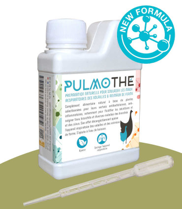 PulmoThé, soigner les problèmes respiratoires des poules, poules qui toussent.