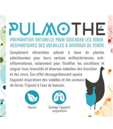 Soins naturel pour soulager la respiration des poules, tels que les encombrements, les râles, la toux chez la poule pondeuse.