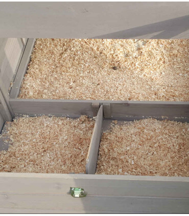 Vue intérieure aménagement du poulailler Deisgn Eidie