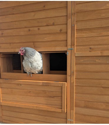 pondoir bois avec 3 nids pour poules pondeuses.