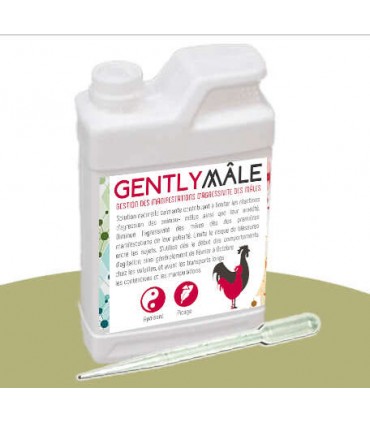 solution pour calmer l'agressivité des coqs de basse-cour