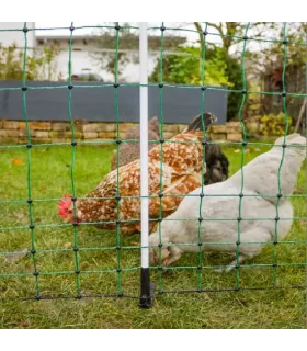 Piquet de clôture double bêche avec fibre de verre pour filet volaille mobile. grande hauteur maxi.