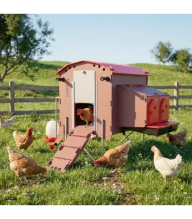 Poulaillerdesign 8 poules en matériau moderne plastique recyclé facile à nettoyer