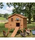 poulailler bois 6 poules sur pilotis, solide et bien conçu depuis 10 ans le prefere des clients poulaillerdesign