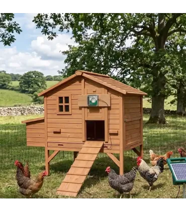 poulailler bois 6 poules sur pilotis, solide et bien conçu depuis 10 ans le prefere des clients poulaillerdesign