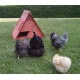 petit poulailler 3 4 poules bois transportable
