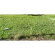 filet pour parc à volaille, modulable pour parcours extérieur et enclos des poules.