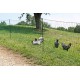 parc mobile en filet équipé de piquets pour faire une enclos à poules.