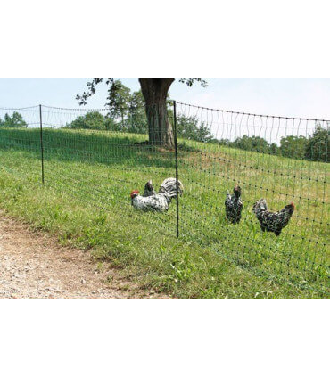 parc mobile en filet équipé de piquets pour faire une enclos à poules.