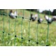 filet pour enclos et parcours des poules, déplacable.