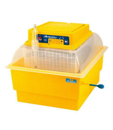 equipement complet pour les couvees de poules en couveuses