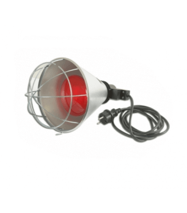 Lampe chauffante équipées pour accueillir les petits poussins au chaud