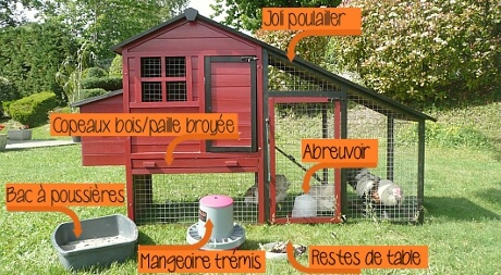 Installer Un Poulailler Familial Dans Son Jardin Poulailler Design