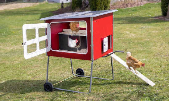 Top qualité des poulaillers en kit Poulailler Design de 3 à 15 poules