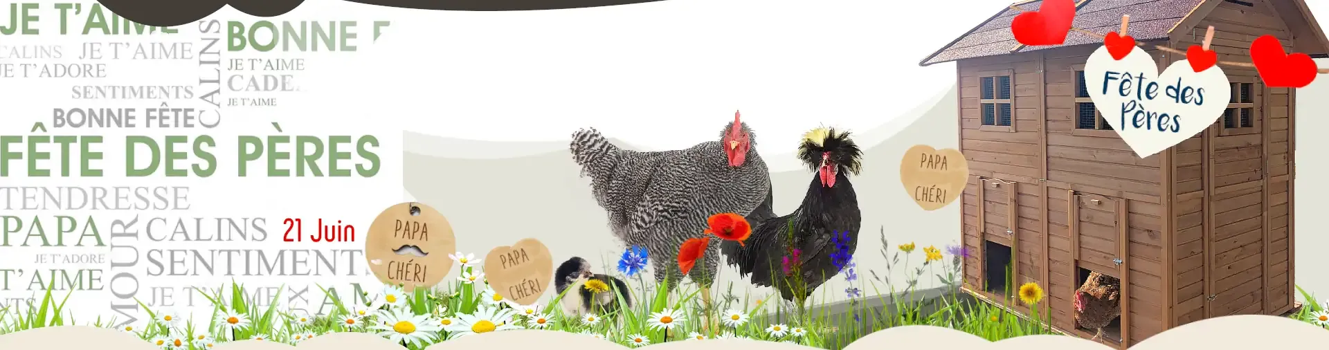 Fête des pères chez Poulailler Design, des poules dans son Jardin !