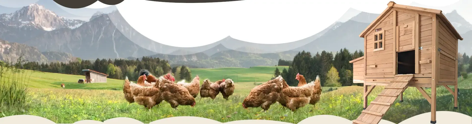 Les plus beaux poulaillers design à prix plume